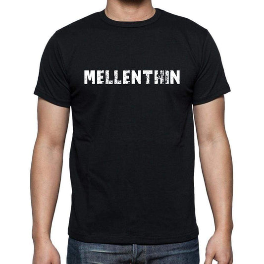 Mellenthin Mens Short Sleeve Round Neck T-Shirt 00003 - Casual