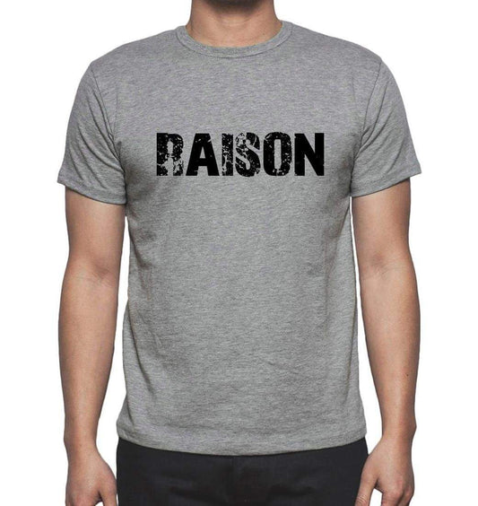 Raison Grey Mens Short Sleeve Round Neck T-Shirt 00018 - Grey / S - Casual